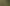 Sustainable living & homesteading creator survey